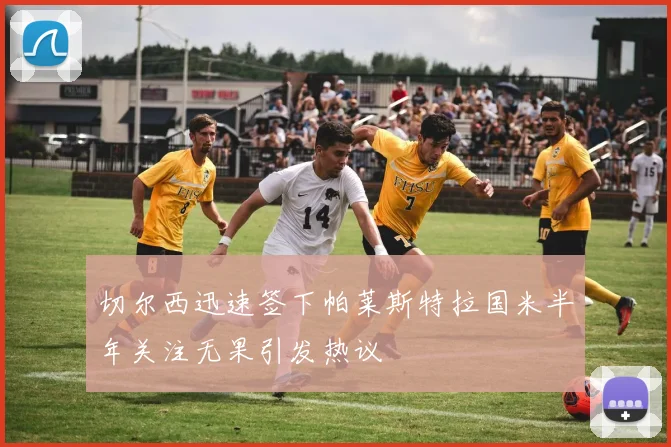 切尔西迅速签下帕莱斯特拉国米半年关注无果引发热议