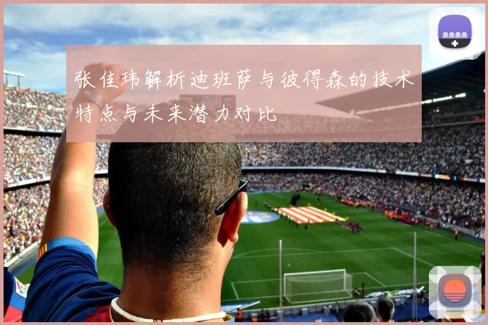 张佳玮解析迪班萨与彼得森的技术特点与未来潜力对比